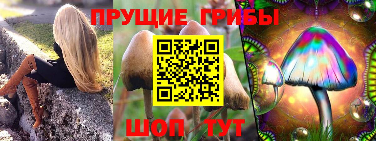 Галлюциногенные грибы Magic Shrooms Чусовой