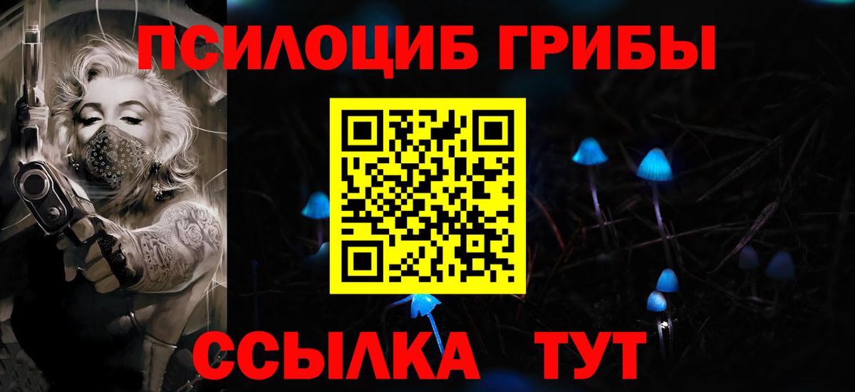 Чусовой  Галлюциногенные грибы Psilocybe  Вход с VPN 